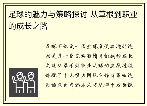 足球的魅力与策略探讨 从草根到职业的成长之路