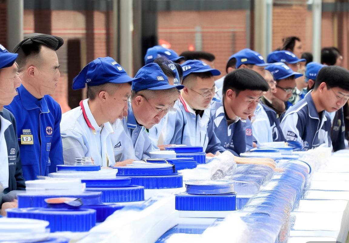 全国建筑防水行业职业技能大赛聚焦防水卷材施工，改性沥青与高分子防水卷材技艺助推行业高质量发展